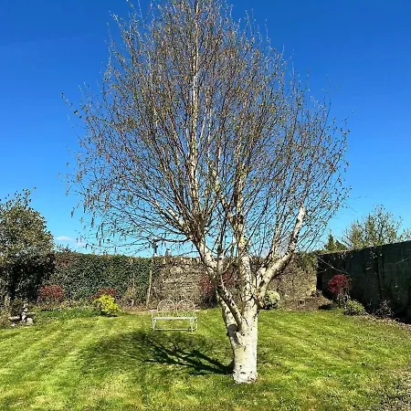 House Holiday home Cullen
